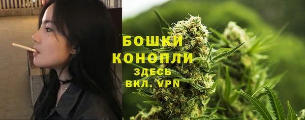 трава Осташков