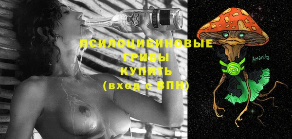 трава Осташков