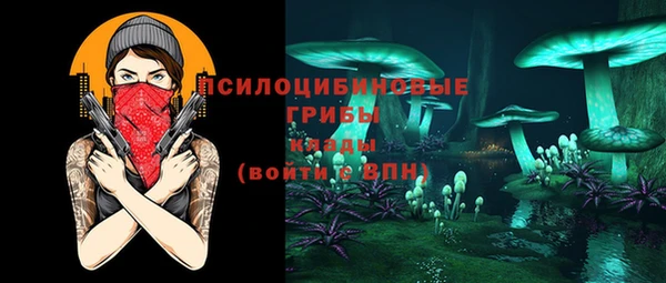 герыч Осинники