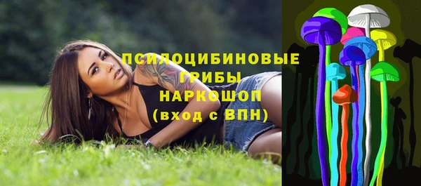 герыч Осинники