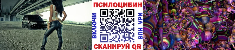 Купить закладки  Фролово  Псилоцибиновые грибы Psilocybine cubensis 